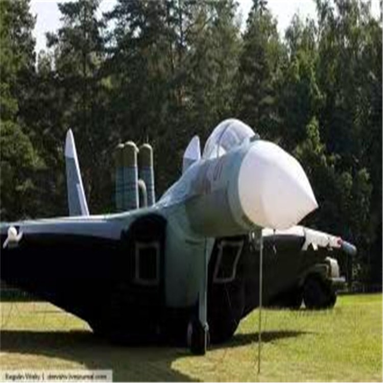 儋州充气模型飞机制造商家